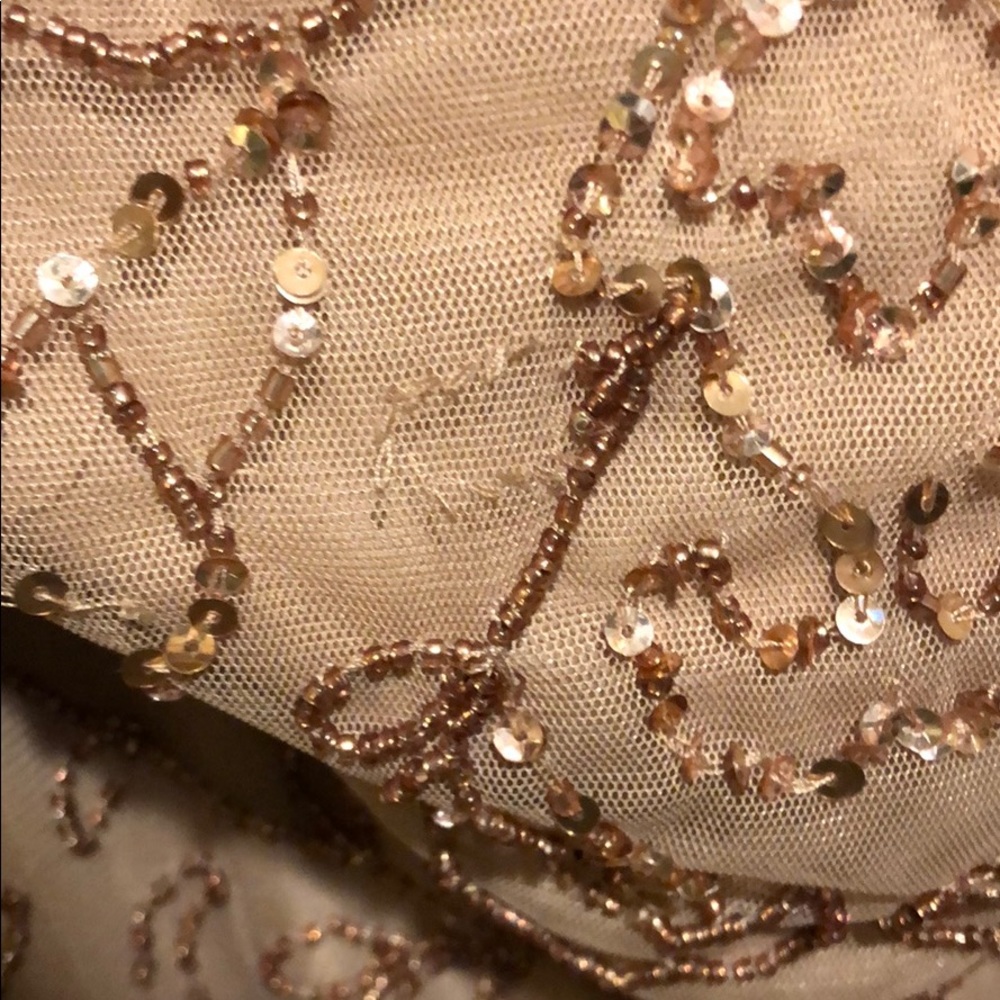 Adrianna Papell Platinum Evening Gown - Picture 6 of 8